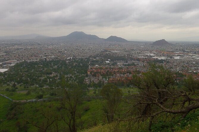 Chinampas Eco Immersion Mexico City - Final Thoughts