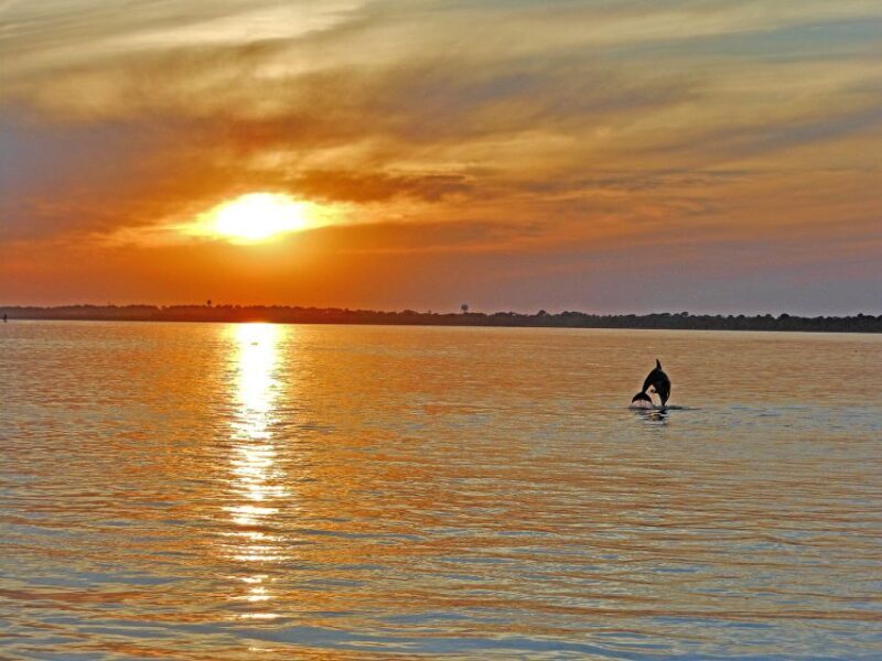Chincoteague: Assateague Island Sunset Boat Cruise - Key Points