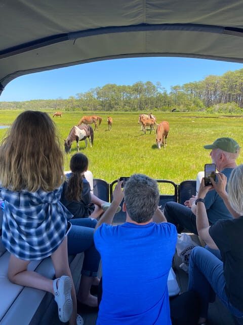 Chincoteague: Premier Pony & Wildlife Small Group Boat Tour - A Deep Dive into the Experience