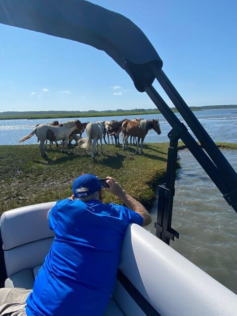 Chincoteague: Premier Pony & Wildlife Small Group Boat Tour - Final Thoughts: The Value of a Personal Wildlife Adventure