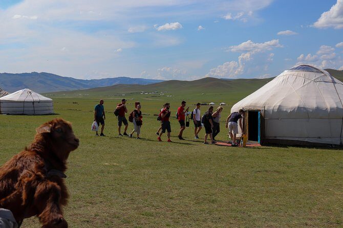 Chinggis Khaan Statue Complex and Terelj National Park 1 day - Analyzing the Value