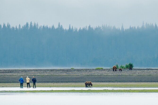 Chinitna Bay Bear Viewing Flight Tour from Talkeetna - The The Sum Up