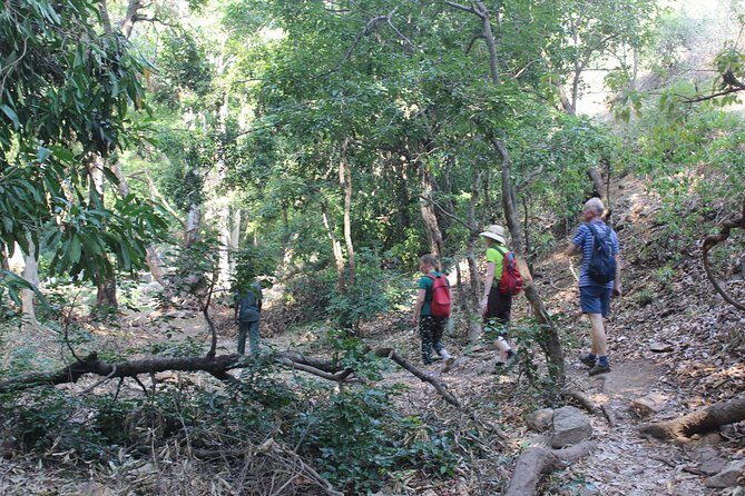 Chinnar wild valley experience day tour ( By Munnar Info) - Who is this tour best suited for?