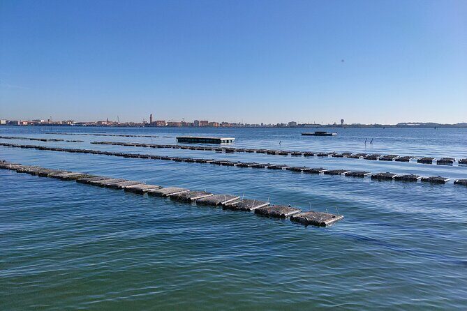 Chioggia : Aquaculture Secrets Tours of the Lagoon - Who Is This Tour Best For?