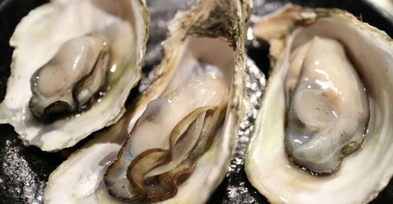 Chioggia: discover aquaculture techniques in a typical boat - FAQs