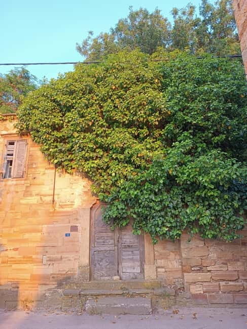 Chios: Kampos Private Walking Tour - Highlights of the Kampos Private Walking Tour