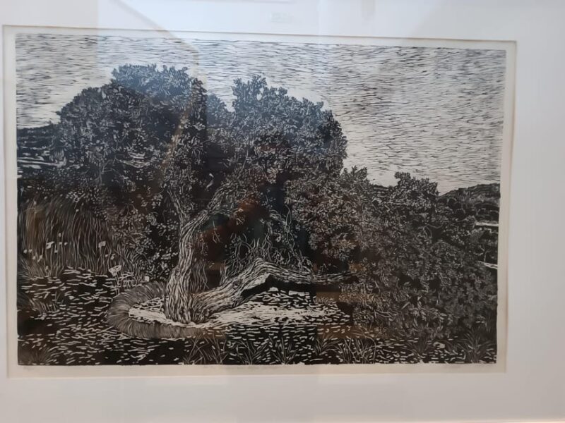 Chios: Mastiha shore excursion - Key Points