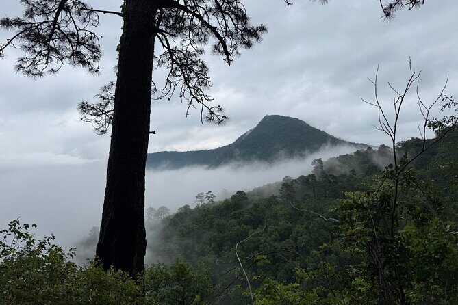 Chipinque Natural Park - Morning / Afternoon Hike (Group/Private) - Final Thoughts: Is This the Right Fit?