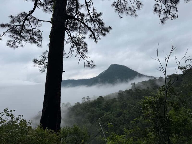 Chipinque Natural Park - Morning / Afternoon Hike - Considerations Before Booking