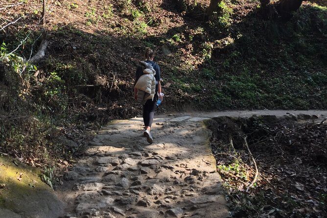 Chisapani and Nagarkot 3-Day Hiking from Kathmandu - What to Expect from the Itinerary