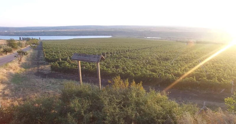 Chisinau: City Tour and Cojusna Winery with Tasting - Exploring Chisinau: The City Highlights