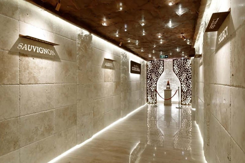 Chisinau: City Tour and Cojusna Winery with Tasting - Practical Details & What to Expect