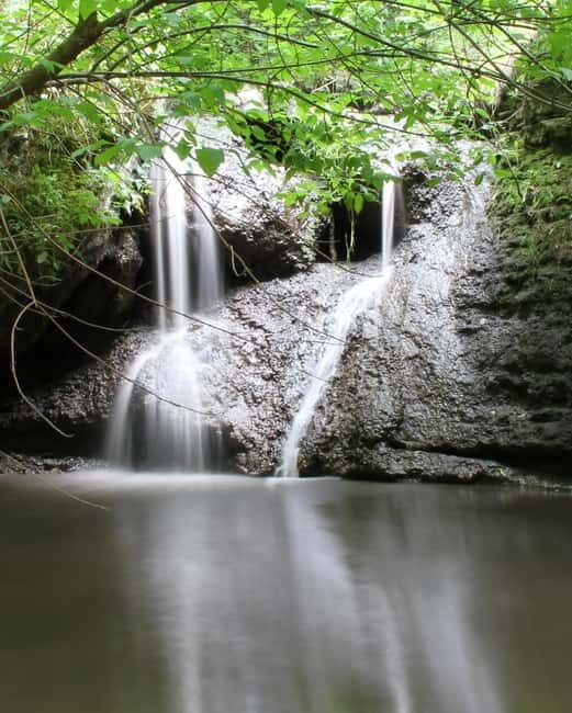 Chisinau: Hiking, Cave Monastery and Curchi Monastery Tour - An In-Depth Look at the Tour Experience
