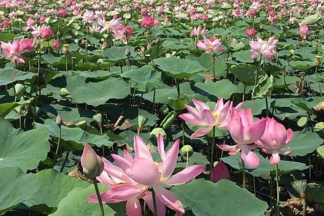 Chiso temple, Neang khmao, and Taprum temple historical site Tour - Who Is This Tour Best For?