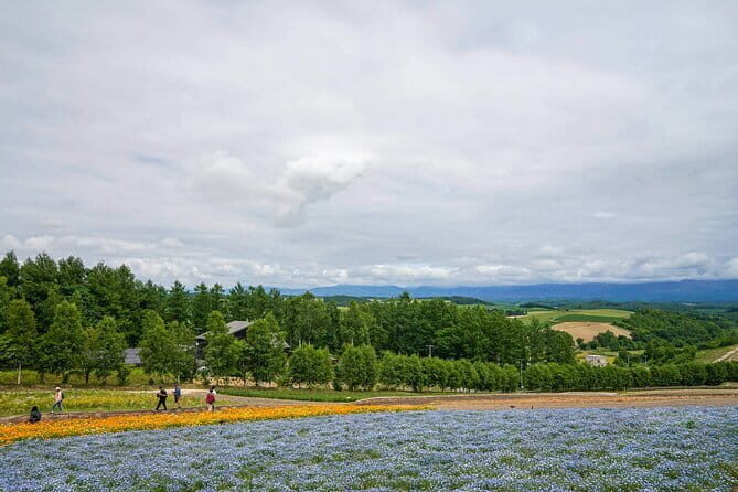 Chitose River Wildlife Watching Rafting and Moor Hot Spring Bath - The Sum Up