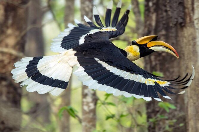 Chitwan National Park Bird Watching Untouched Side from Madi - Key Points