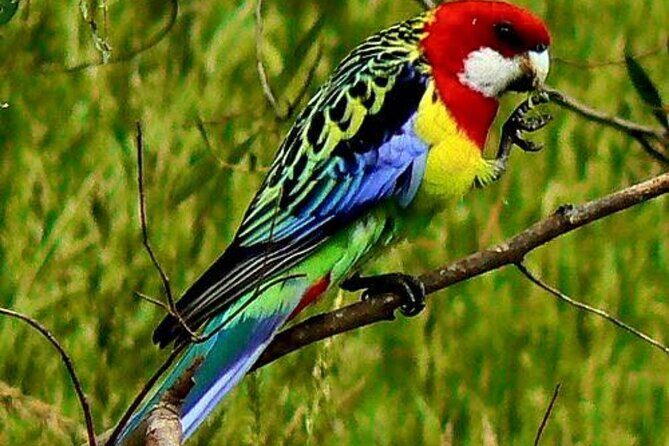 Chitwan National Park Bird Watching Untouched Side from Madi - Who is This Tour Best For?
