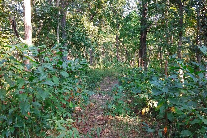 Chitwan National Park Bird Watching Untouched Side from Madi - FAQ