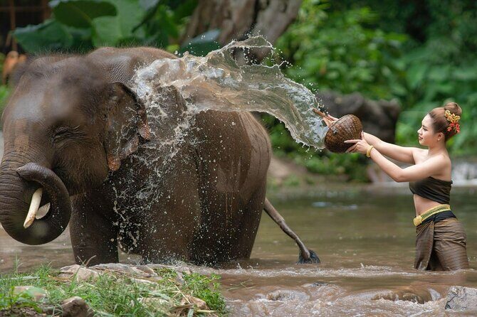 Chitwan National Park Tour - An In-Depth Look at the Chitwan National Park Tour