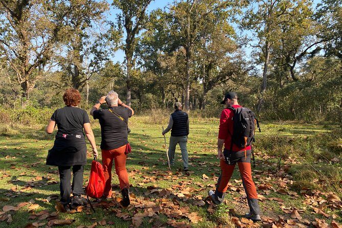 Chitwan Safari for 2 Nights 3 Days - The Sum Up
