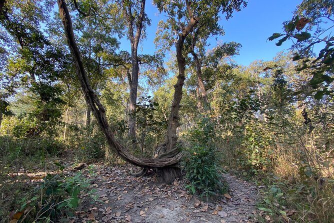 Chitwan Safari for 2 Nights 3 Days - FAQ