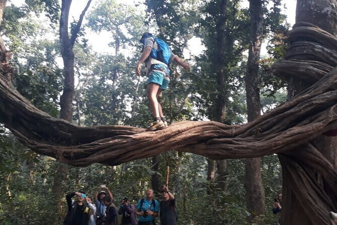 Chitwan to Pokhara Luxury Bus Ticket Reservation - FAQ