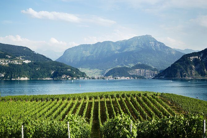 Chocolate, Cheese and Wine Tour in Luzern region - Final Thoughts: Is It Worth the Price?