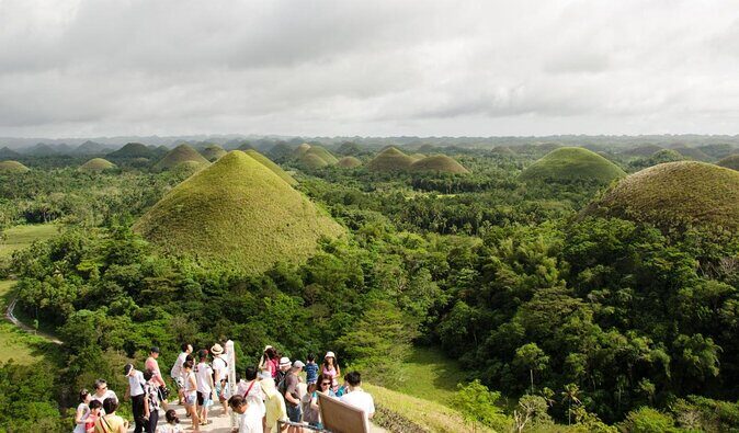 Chocolate hills tour with Tarsier & Loboc river Buffet Lunch (half-day tour) - Key Points