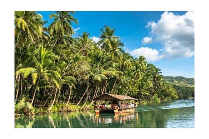 Chocolate hills tour with Tarsier & Loboc river Buffet Lunch (half-day tour) - A Closer Look at the Itinerary