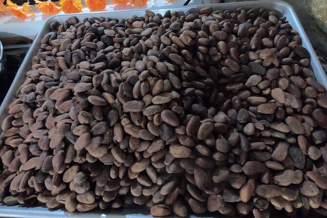 Chocolate Tasting & mayan show - Final Thoughts