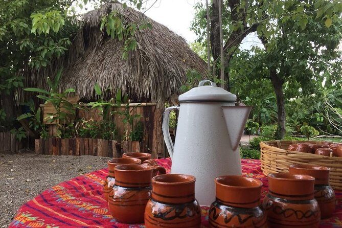 Chocolate Tour in Vallarta - Exploring the Cacao Garden: What to Expect