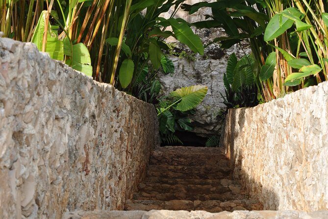 Choose your experience to live in Los 7 Cenotes San Gerónimo - A Deep Dive Into the Experience