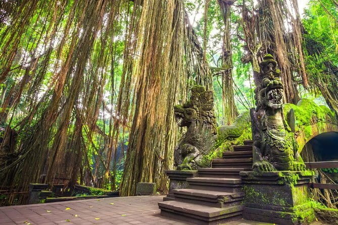 Choose Your Lulur Body spa treatment in Bali island - The Spa Experience: What to Expect