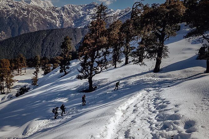 Chopta Trek - Day 1: The Journey Begins at Devprayag and Sari Village