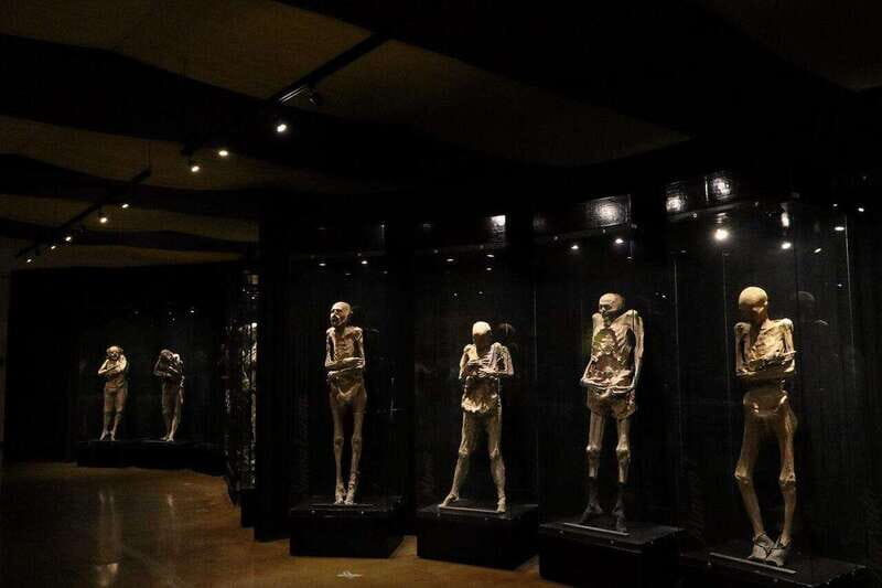 Christ the King Traveling Mummies VS El Santo and Catrinas - Authenticity and Insights from Travelers