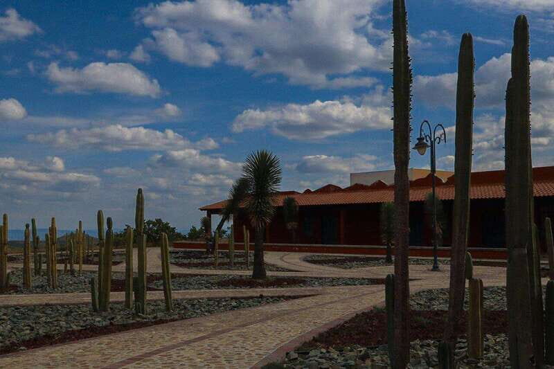 Christ the King Traveling Mummies VS El Santo and Catrinas - The Sum Up