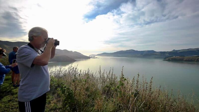 Christchurch: 1/2-Day Scenic Highlights Small Group Tour - Final Thoughts