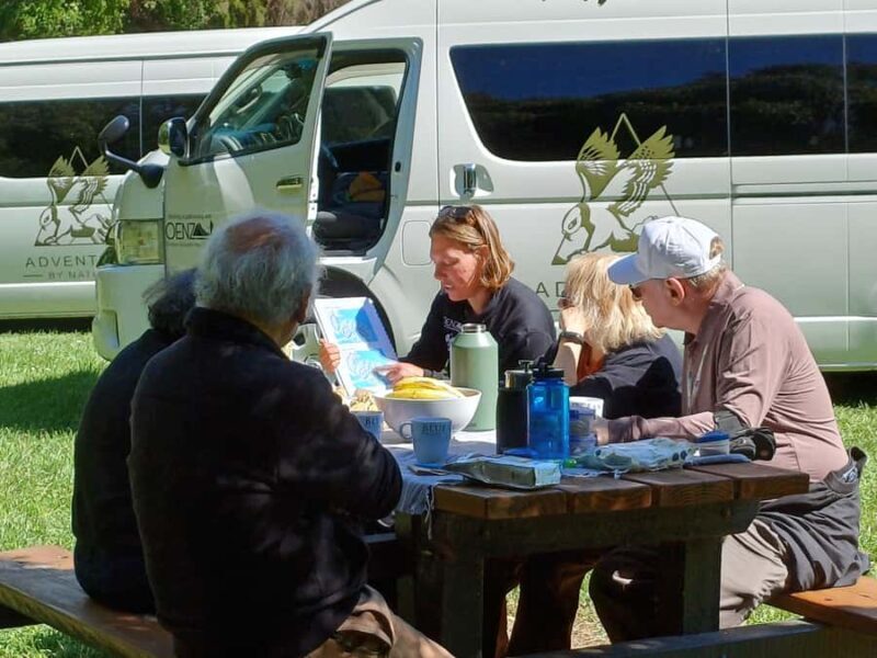 Christchurch: Akaroa and Banks Peninsula Day Trip - Exploring Akaroa’s Charm