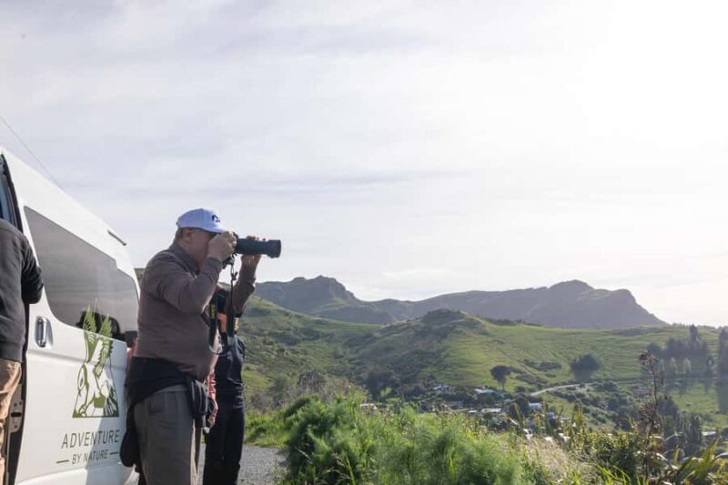 Christchurch: Akaroa and Banks Peninsula Day Trip - A Scenic Return and Final Stops