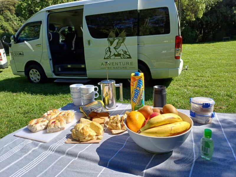 Christchurch: Akaroa and Banks Peninsula Day Trip - Real Traveler Feedback