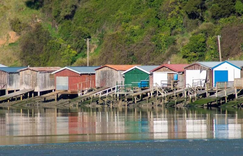 Christchurch: Akaroa and Banks Peninsula Day Trip - Who Should Consider This Tour?