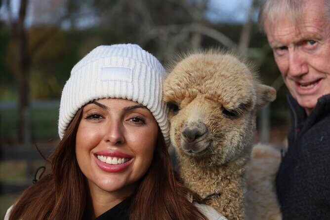 Christchurch Alpaca Farm Tour From Kaiapoi - What to Expect on the Alpaca Farm Tour