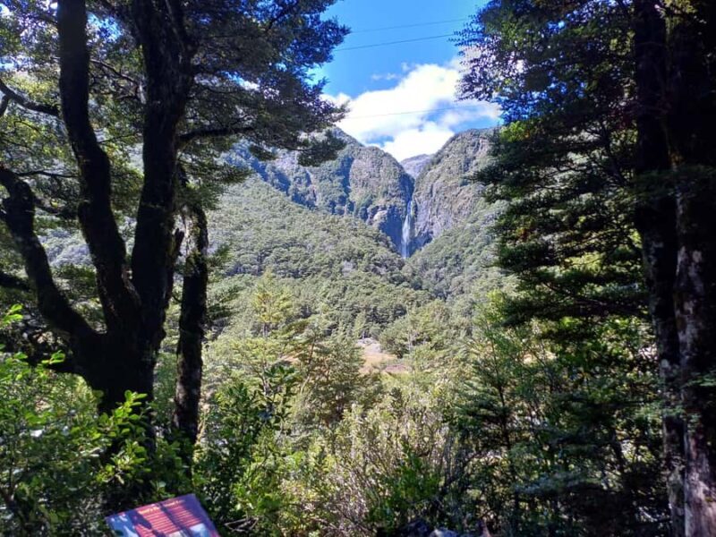 Christchurch: Arthur's Pass & Castle Hill Scenic Day Tour - Authentic Experiences and What Travelers Say