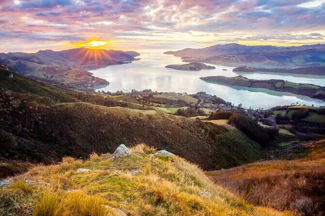 Christchurch City Highlights Half Day Tour - The Itinerary: What You’ll See and Experience