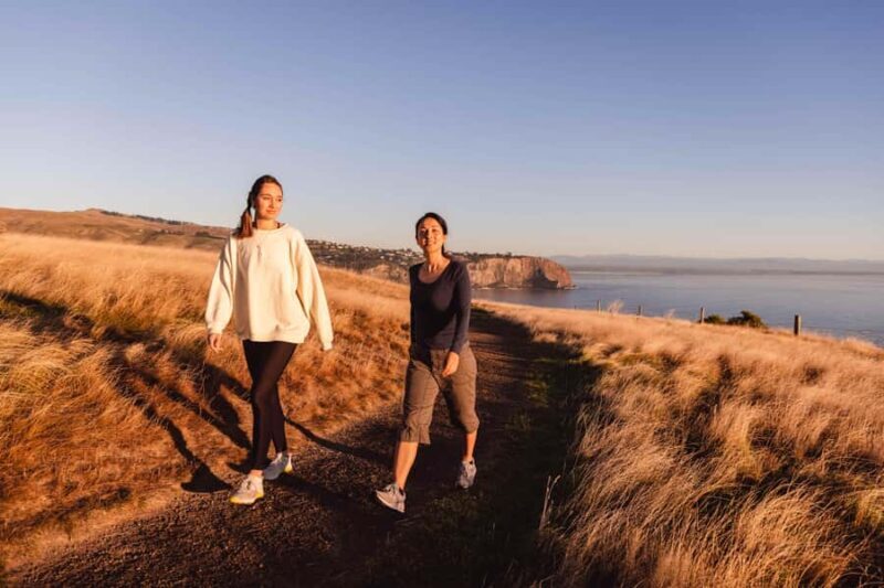 Christchurch: Godley Head & Lyttelton Guided Walking Tour - Christchurch: Godley Head & Lyttelton Guided Walking Tour — A Deep Dive into Scenic History