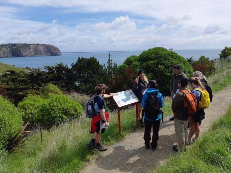 Christchurch: Godley Head & Lyttelton Guided Walking Tour - What to Expect on Your Day Out