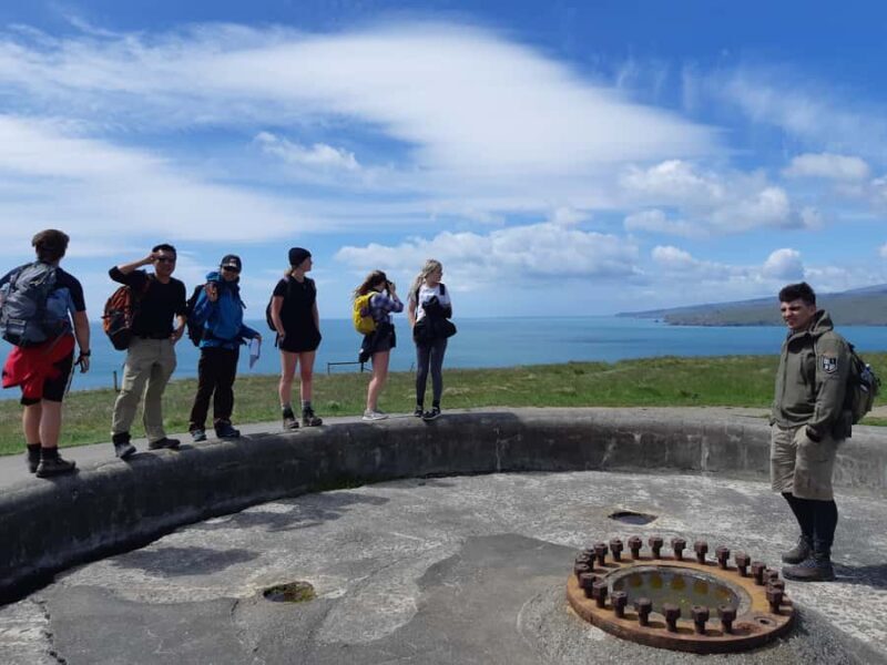 Christchurch: Godley Head & Lyttelton Guided Walking Tour - What the Tour Includes and What to Keep in Mind