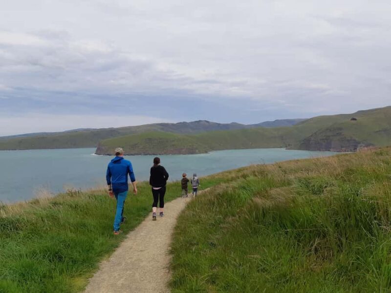 Christchurch: Godley Head & Lyttelton Guided Walking Tour - Final Thoughts