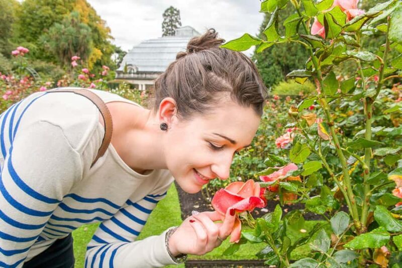Christchurch Gondola and Tram City Tour Combo - Who Will Love This Experience?