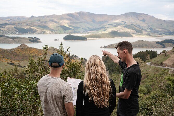 Christchurch Highlights Tour (Full Day Private) - Key Points